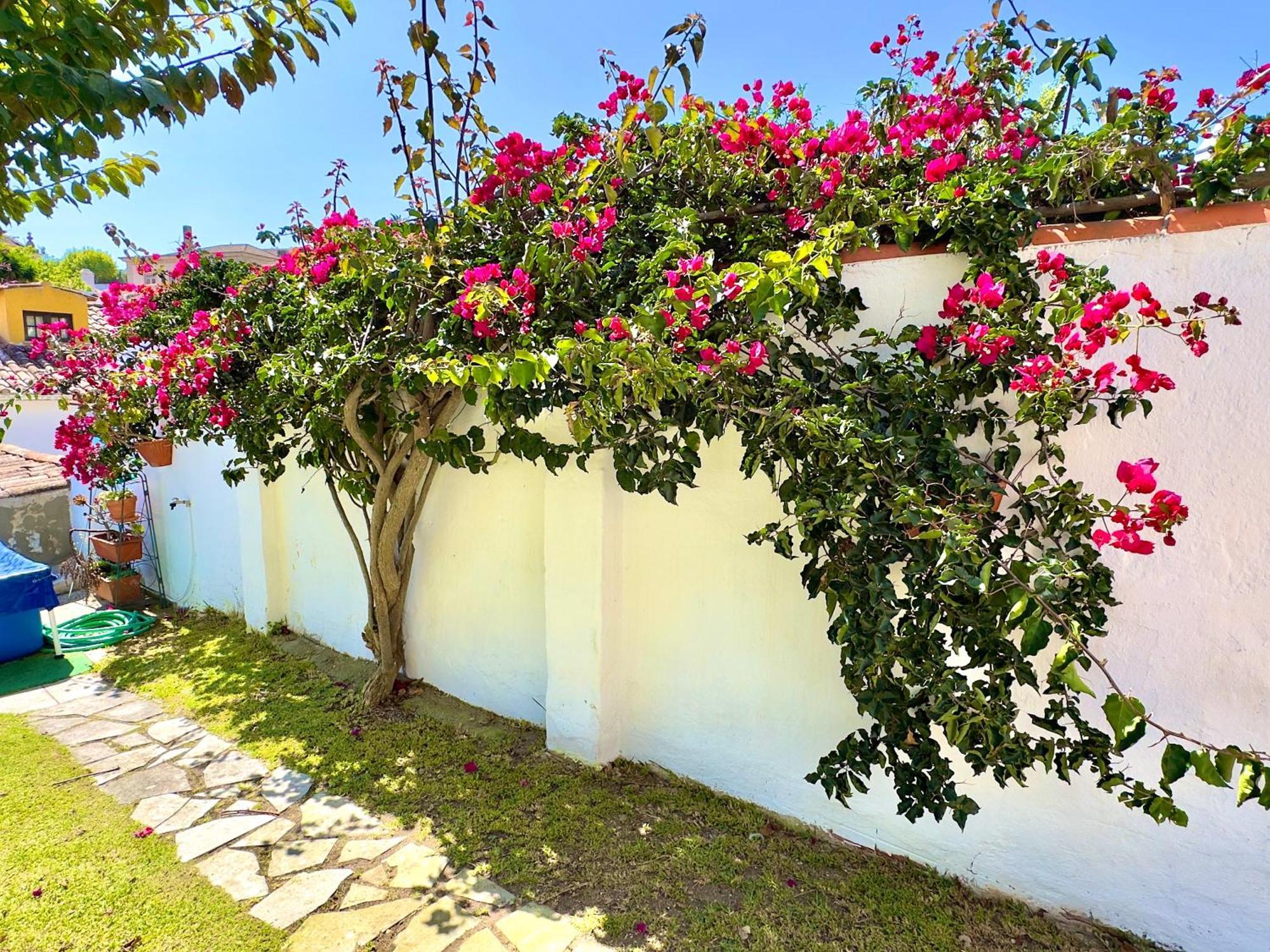 Casa Do Candeeiro オビドス エクステリア 写真